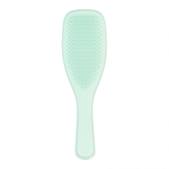 Tangle Teezer Wet Detabgler Fine & Fragile, Βούρτσα για Λεπτά & Εύθραυστα Μαλλιά, Mint 1 Τεμάχιο