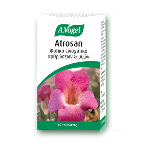A.Vogel Atrosan Φυτικό Ενισχυτικό Αρθρώσεων & Μυών 60 Ταμπλέτες