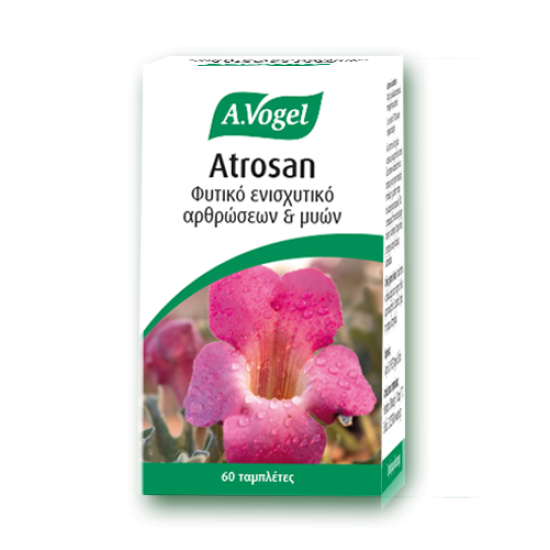 A.Vogel Atrosan Φυτικό Ενισχυτικό Αρθρώσεων & Μυών 60 Ταμπλέτες