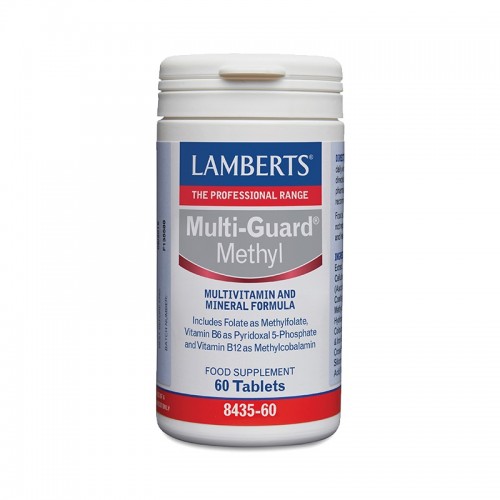 Lamberts Multi-Guard Methyl Εξειδικευμένη Πολυβιταμίνη 60 Ταμπλέτες Lamberts Multi-Guard Methyl Εξειδικευμένη Πολυβιταμίνη 60 Ταμπλέτες