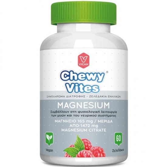 Chewy Vites Adults Magnesium, Συμπλήρωμα Διατροφής με Μαγνήσιο 60softgels Chewy Vites Adults Magnesium, Συμπλήρωμα Διατροφής με Μαγνήσιο 60softgels