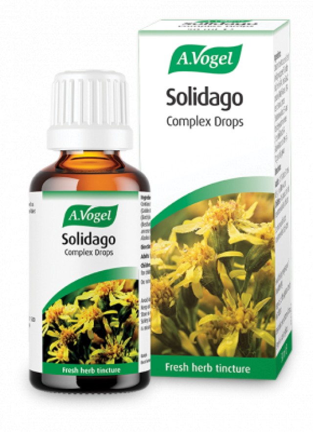 A.Vogel Nephrosolid (Solidago) Φυτικό Ενισχυτικό για την Εύρυθμη Λειτουργία του Ουροποιητικού Συστήματος 50ml