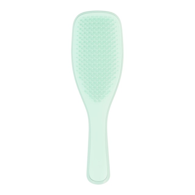 Tangle Teezer Wet Detabgler Fine & Fragile, Βούρτσα για Λεπτά & Εύθραυστα Μαλλιά, Mint 1 Τεμάχιο