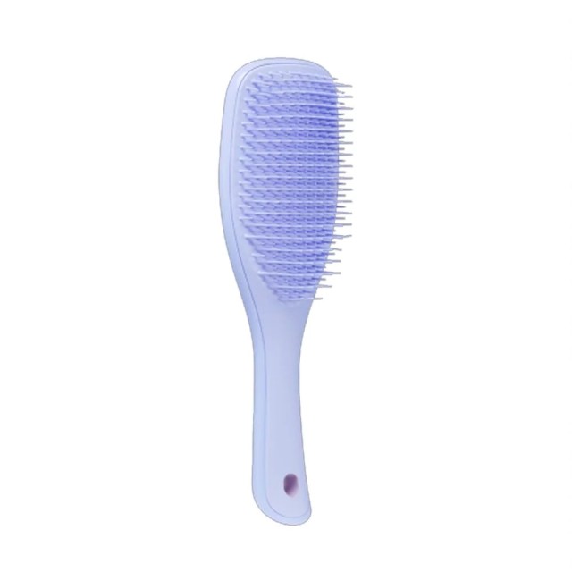 Tangle Teezer The Wet Detangler Mini Βούρτσα Μαλλιών, Traval Size, Χρώμα Λιλά 1 Τεμάχιο